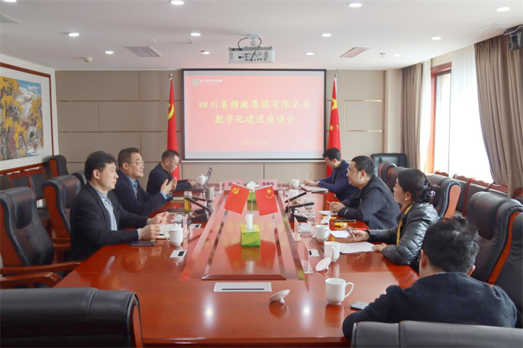 集團公司召開數(shù)字化建設座談會